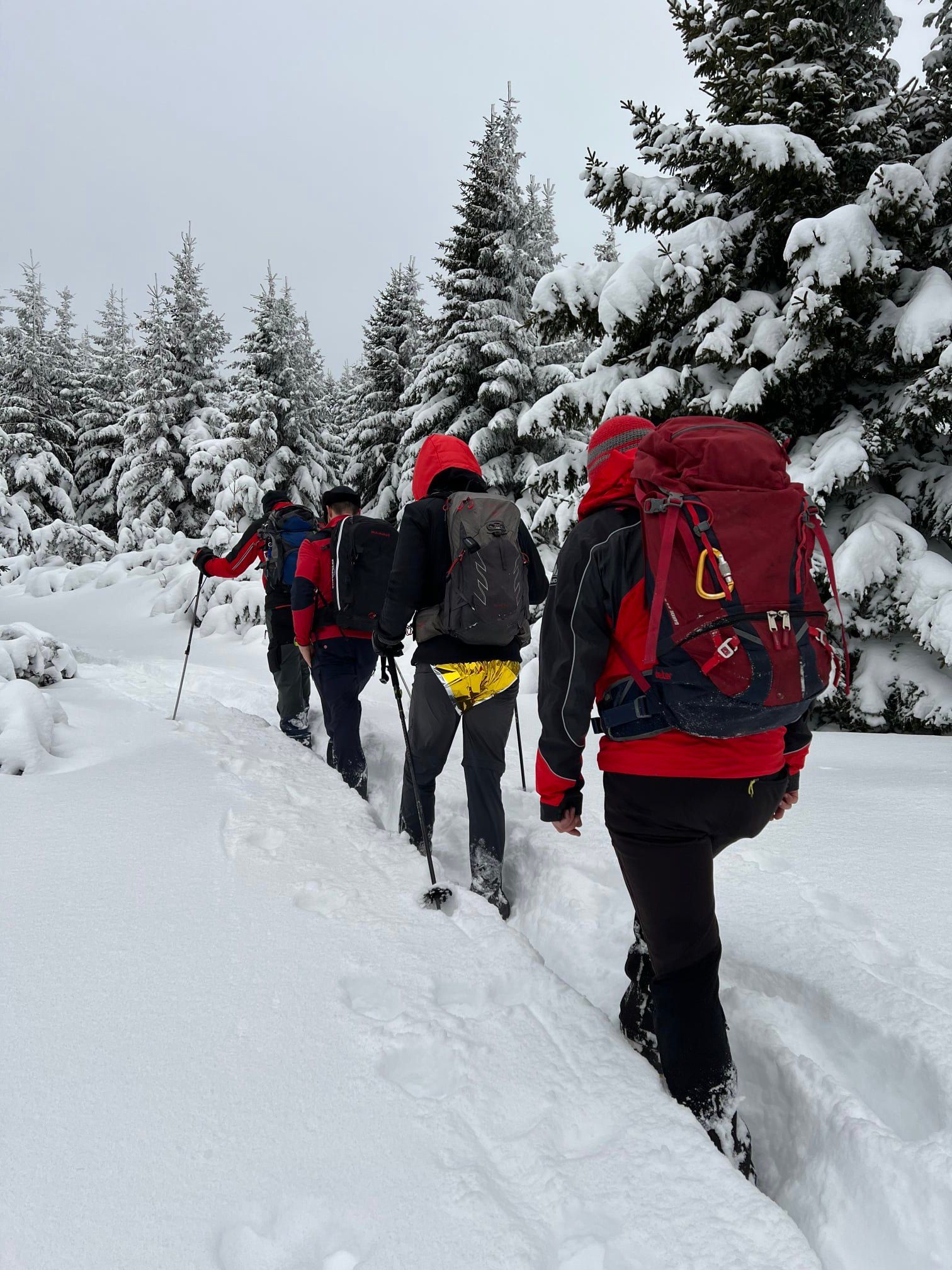 Die Bergrettung rettete den Wanderer.