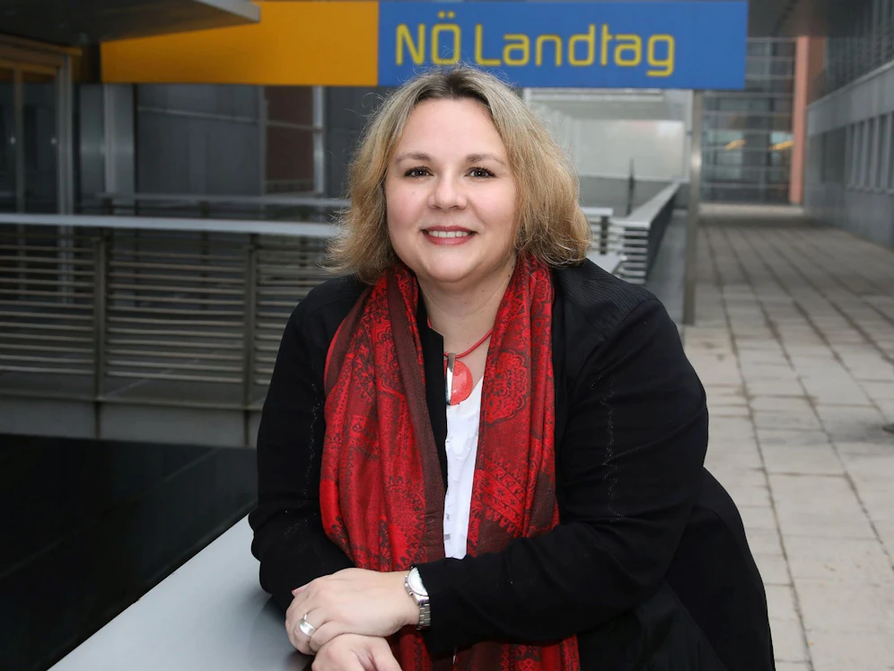 Landtagsabgeordnete Karin Schindele