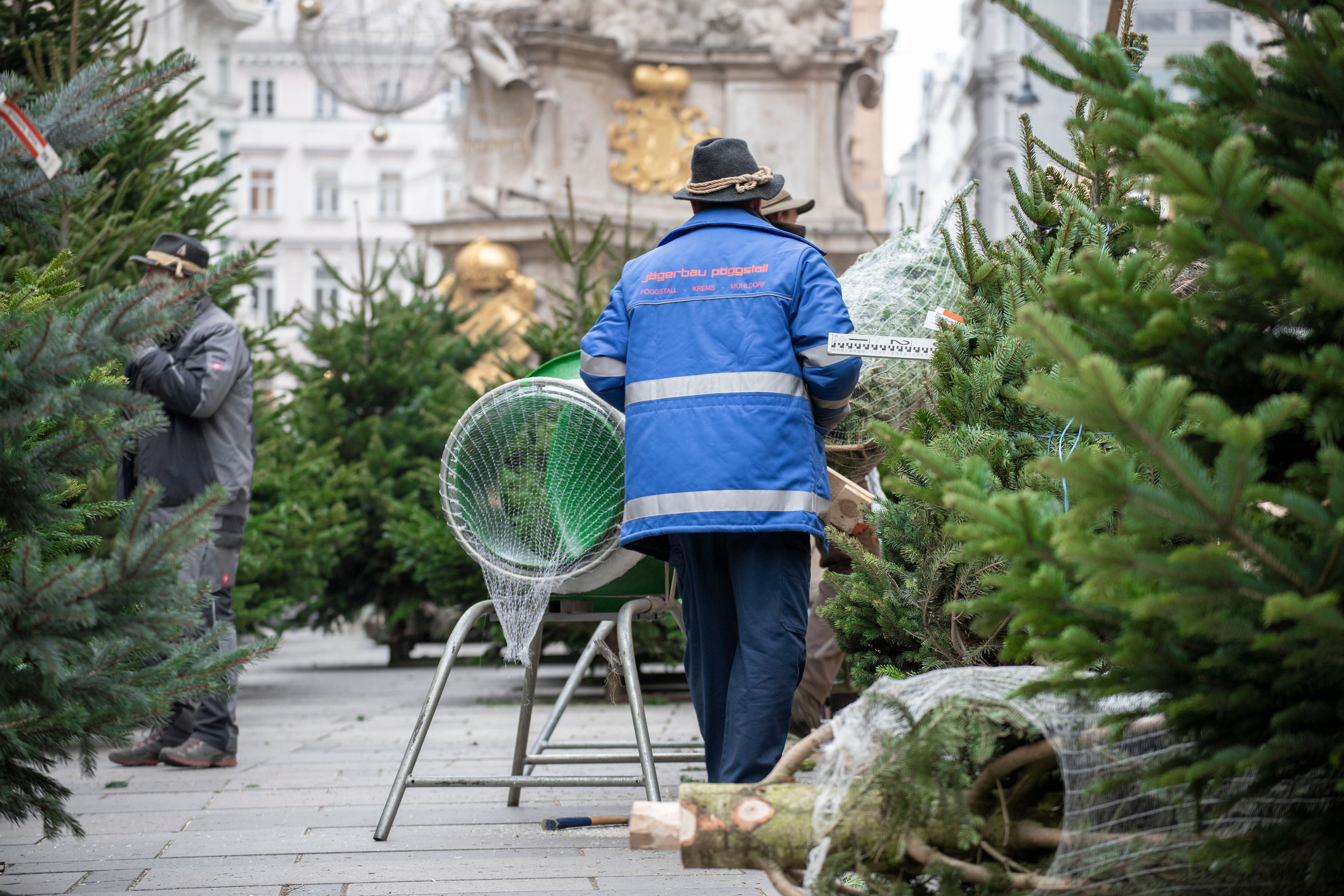 Der Christbaumverkauf in Wien startet am 12. Dezember.