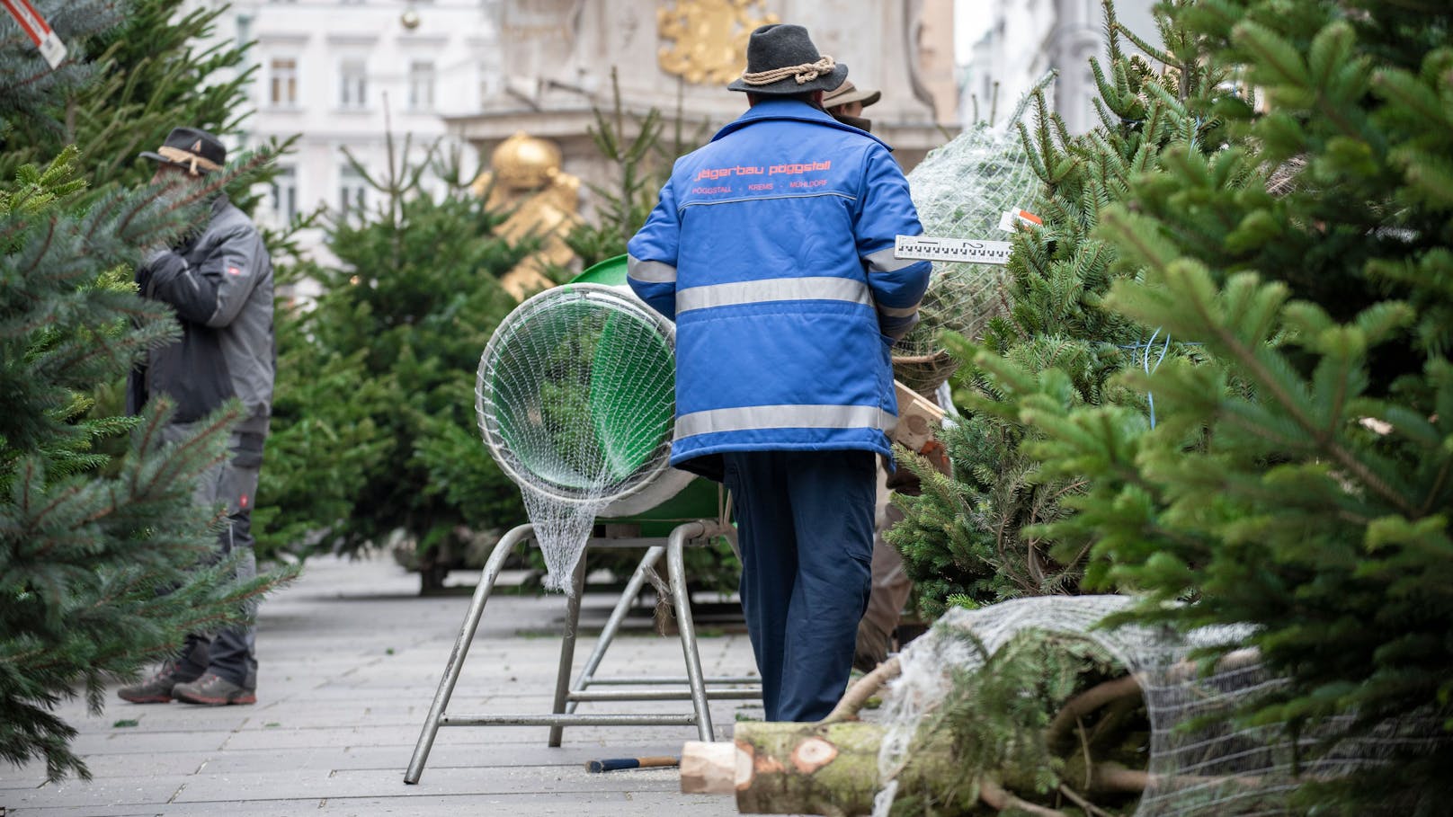 Der Christbaumverkauf in Wien startet am 12. Dezember.