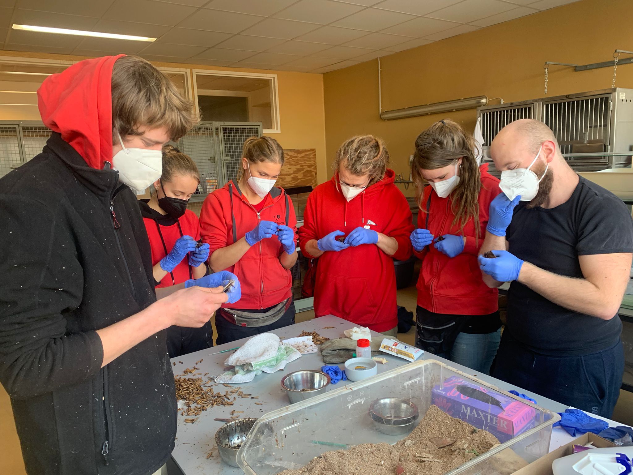 Seit dem 07. Dezember arbeiten die Mitarbeiter des Tierschutz Austria rund um die Uhr. 