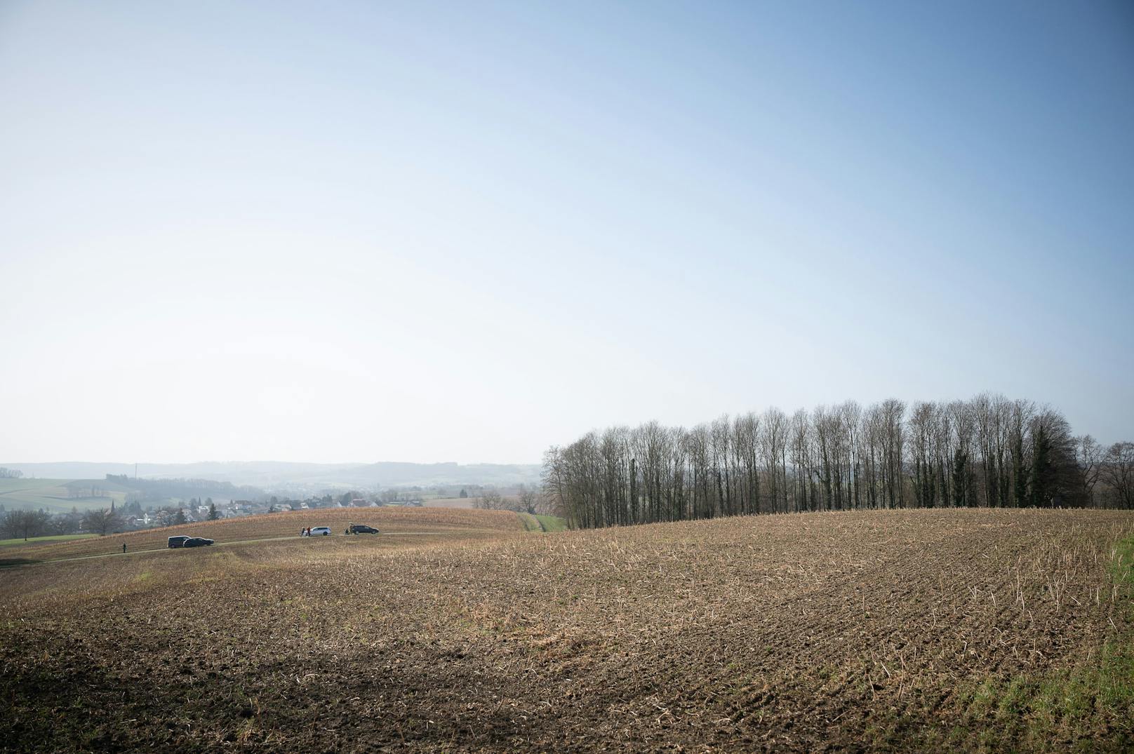 Der mutmaßliche Täter, ein 14-Jähriger, wurde noch am selben Tag im Waldgebiet festgenommen.