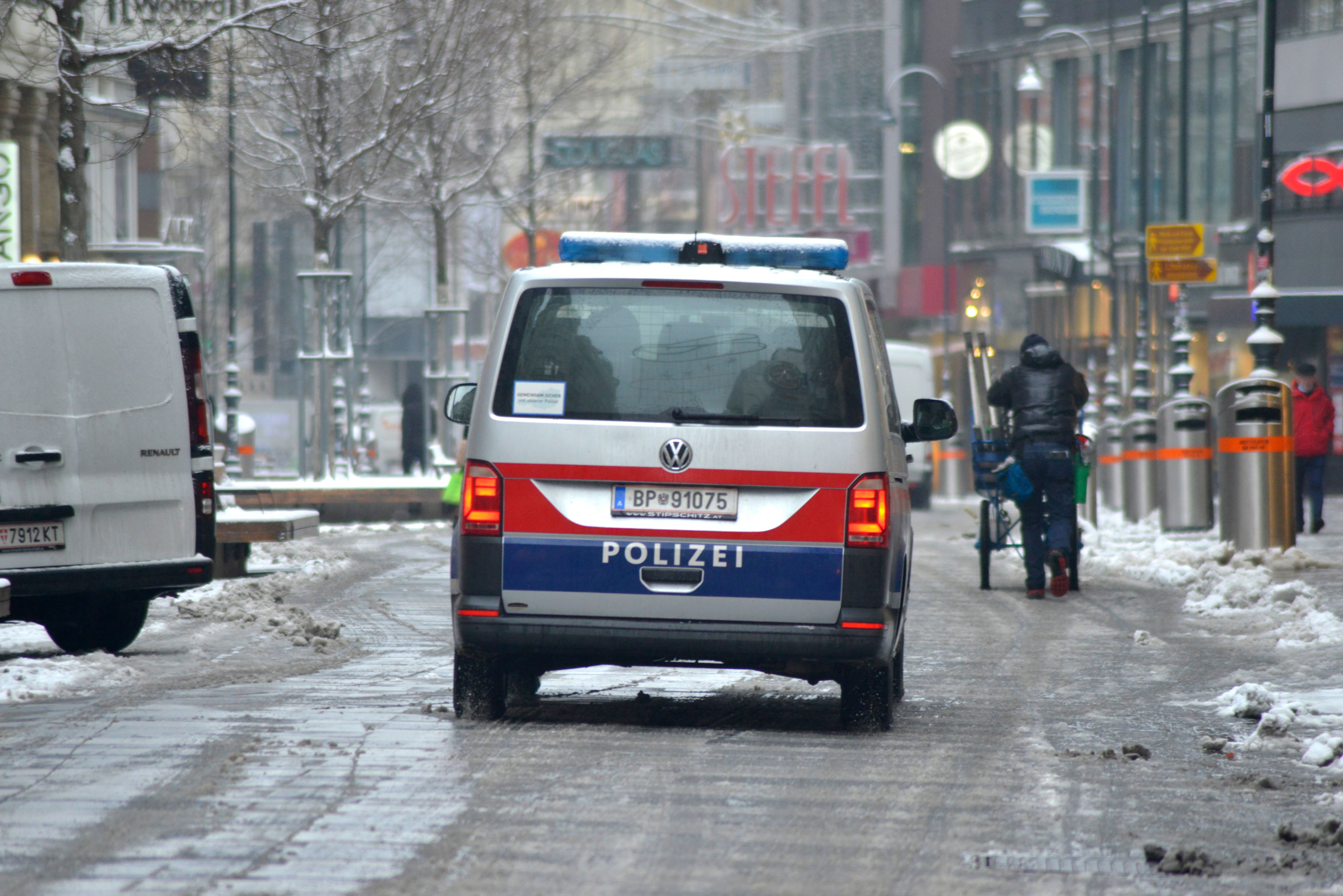 Polizei-Einsatz in Wien (Archivfoto)