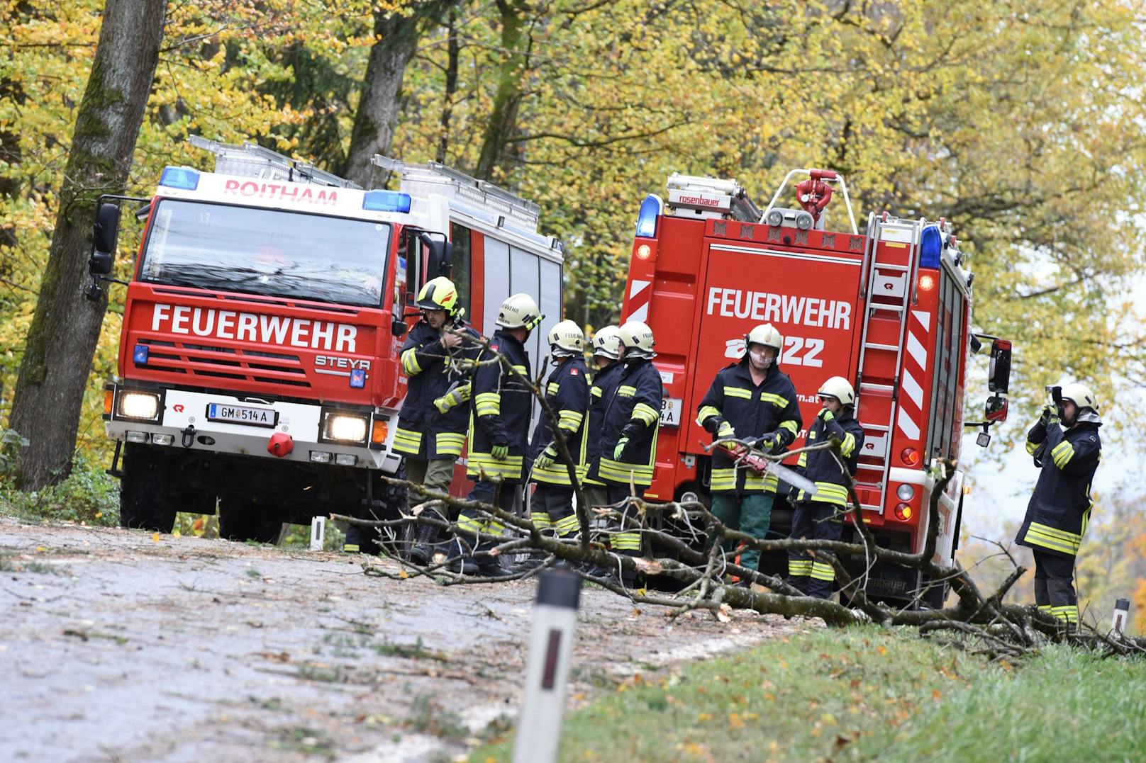 Kräfte der Feuerwehr im Einsatz zur Beseitigung von Sturmschäden. (Symbolbild)