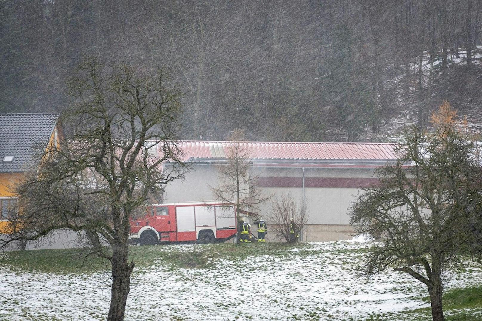 Brandausbruch in einem Hühnerstall