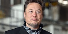 Elon Musks Vater hat heimliche Kinder mit Stieftochter