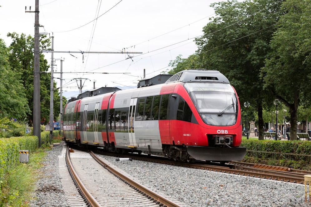 Der Zug erfasste die Tiere zwischen Fehring und Feldbach. Symbolbild. 