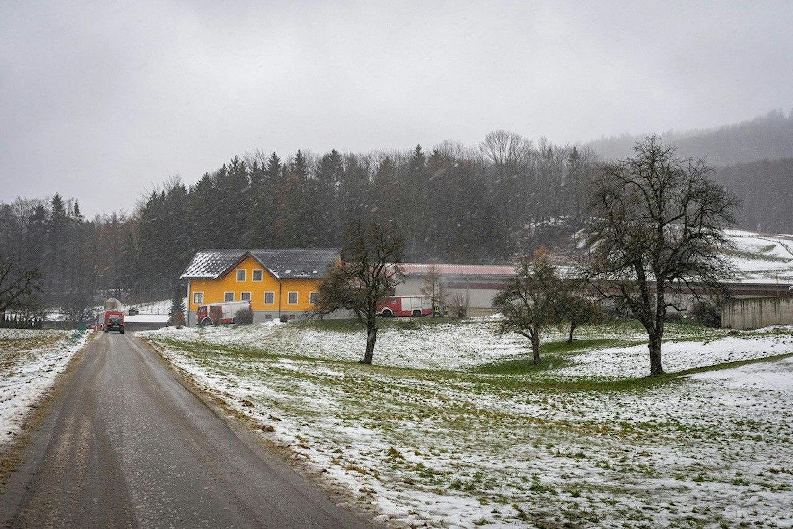 Brandausbruch in einem Hühnerstall