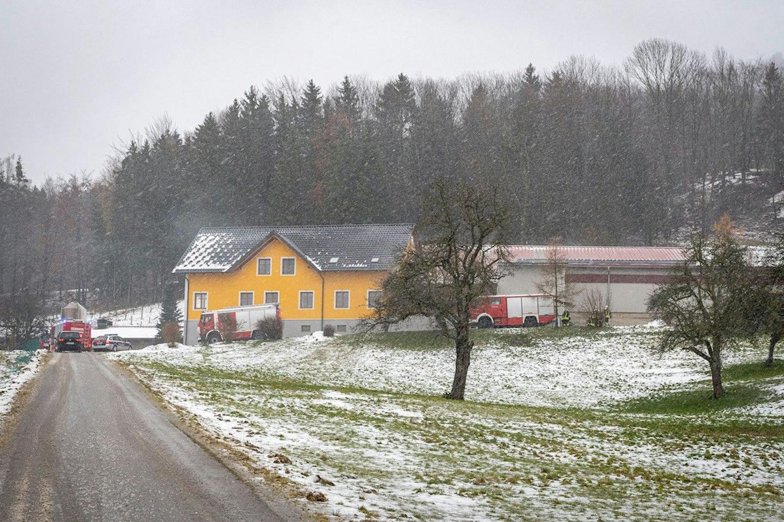 Brandausbruch in einem Hühnerstall