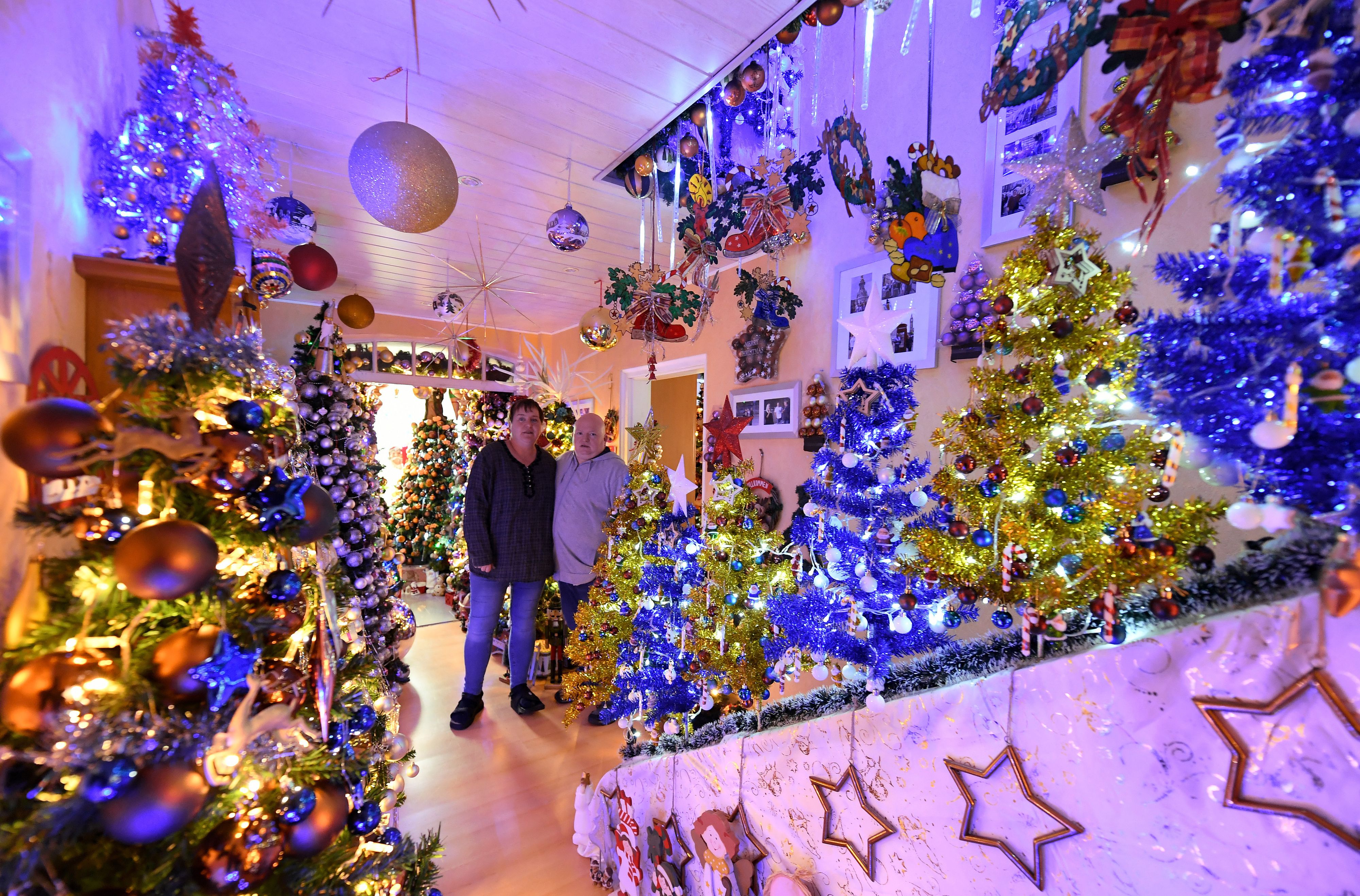 Die 444 Christbäume finden alle in der Wohnung des Paares Platz.