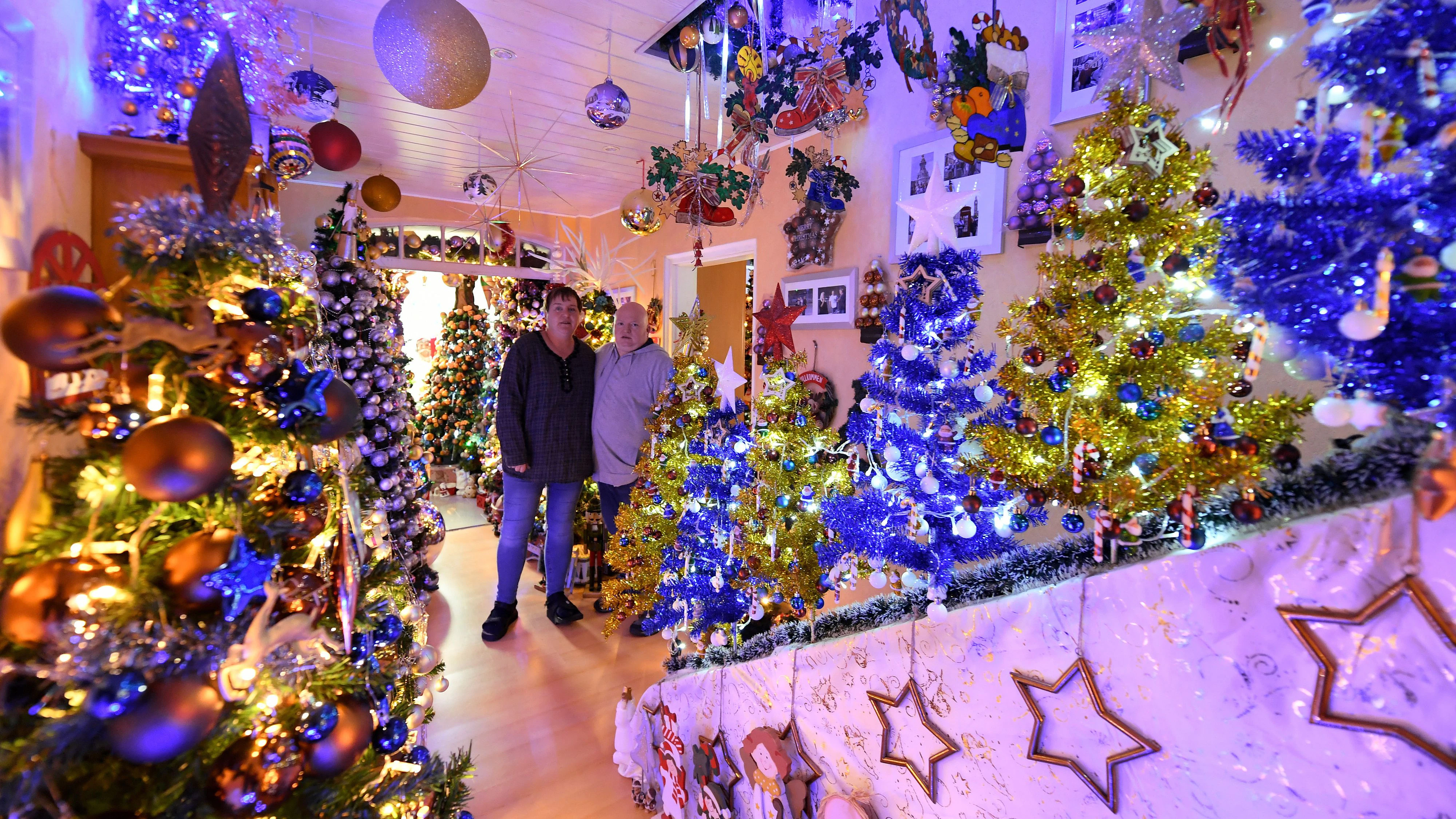 Die 444 Christbäume finden alle in der Wohnung des Paares Platz.