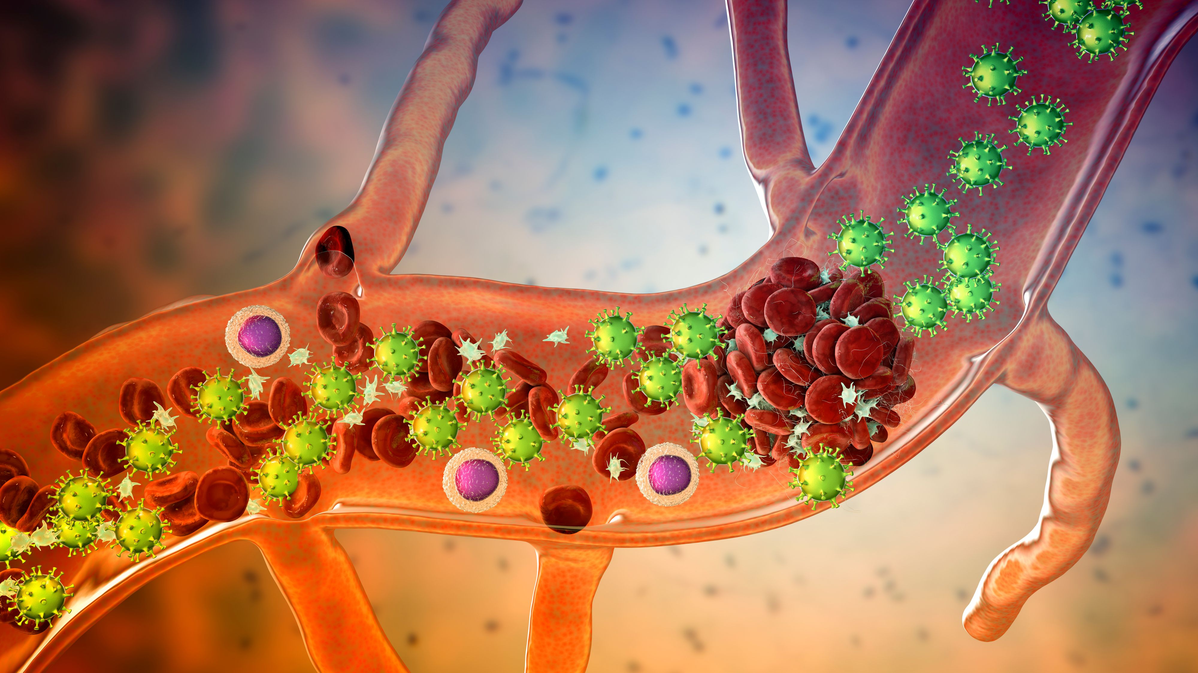 Download von www.picturedesk.com am 14.12.2021 (17:09).  COVID-19 virus particles and activated platelets in blood stream participating in clot formation, conceptual illustration. - 20211214_PD4611 - Rechteinfo: Royalty Free (RF)