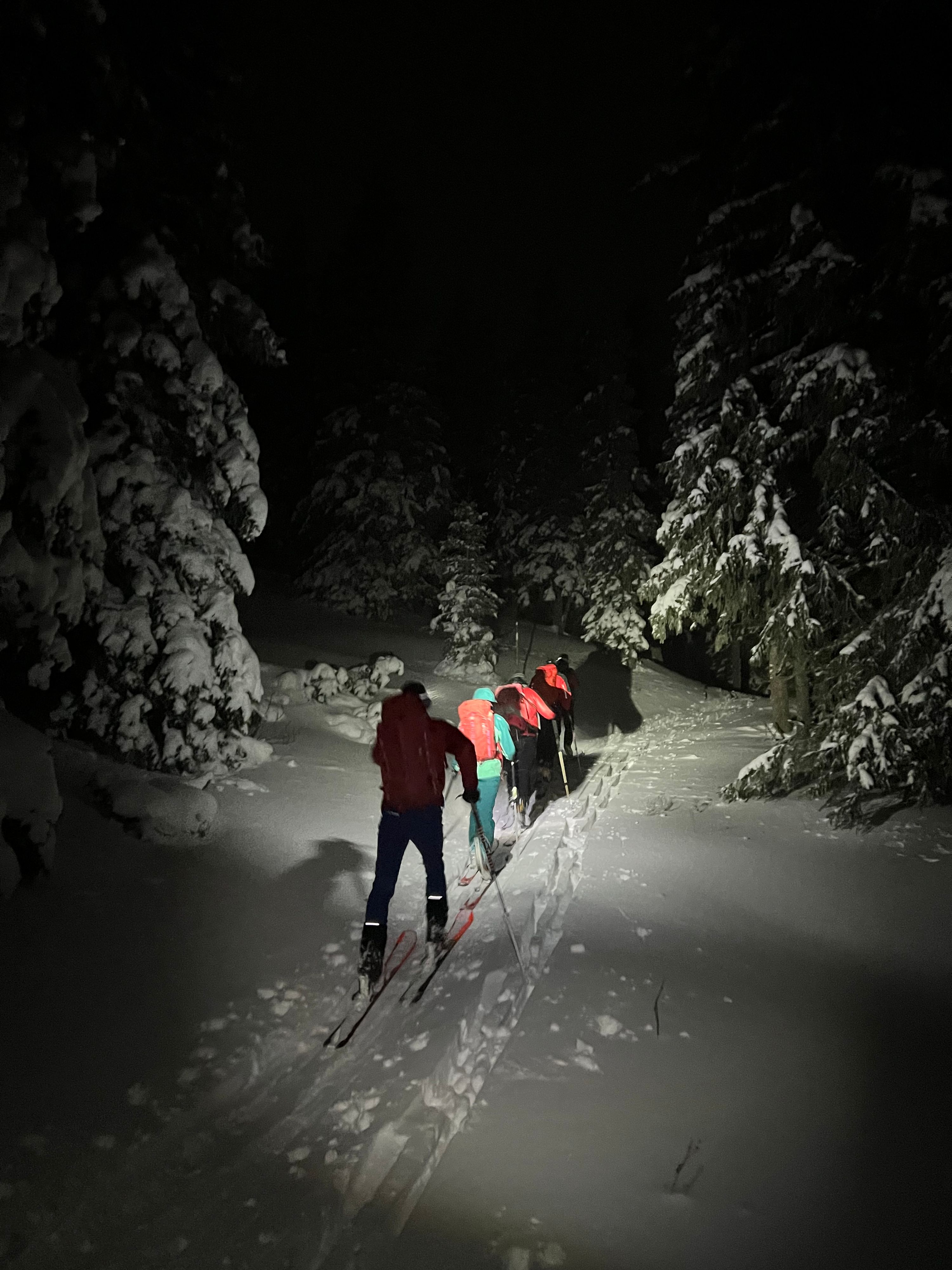 Bergrettung im Sucheinsatz auf der Rax