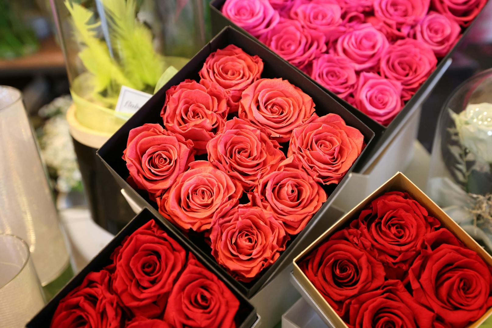 Das besondere an den Blumenboxen ist nicht nur, dass sie problemlos verschickt werden können. Sie sind auch besonders lange haltbar. Die konservierten Rosen machen sogar bis zu drei Jahren Freude.