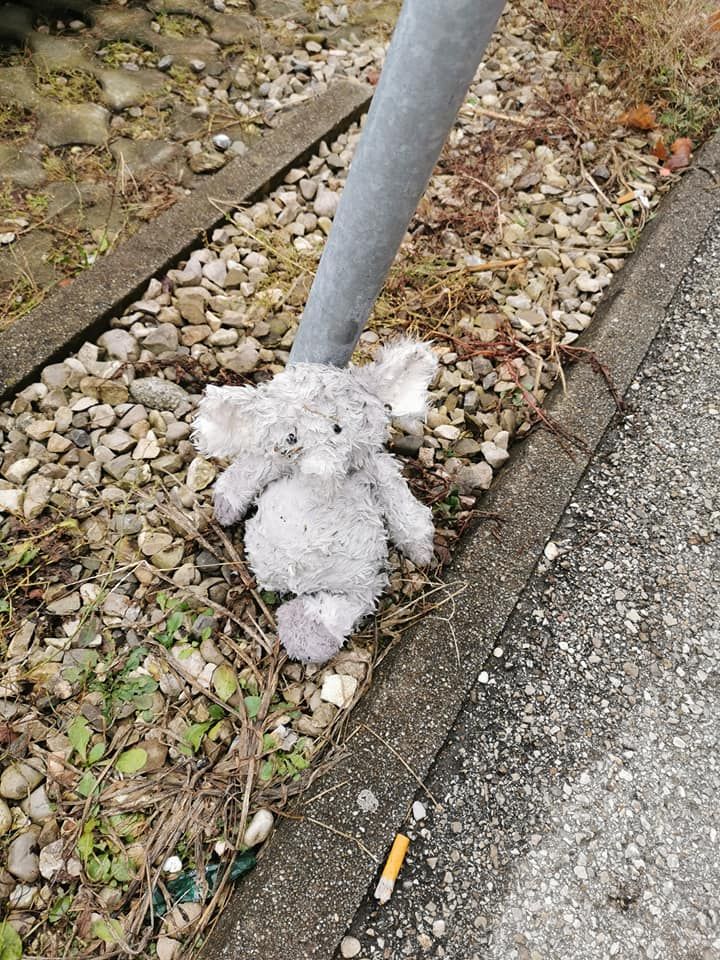 Dieser kleine Elefant wartet auf seinen Besitzer.