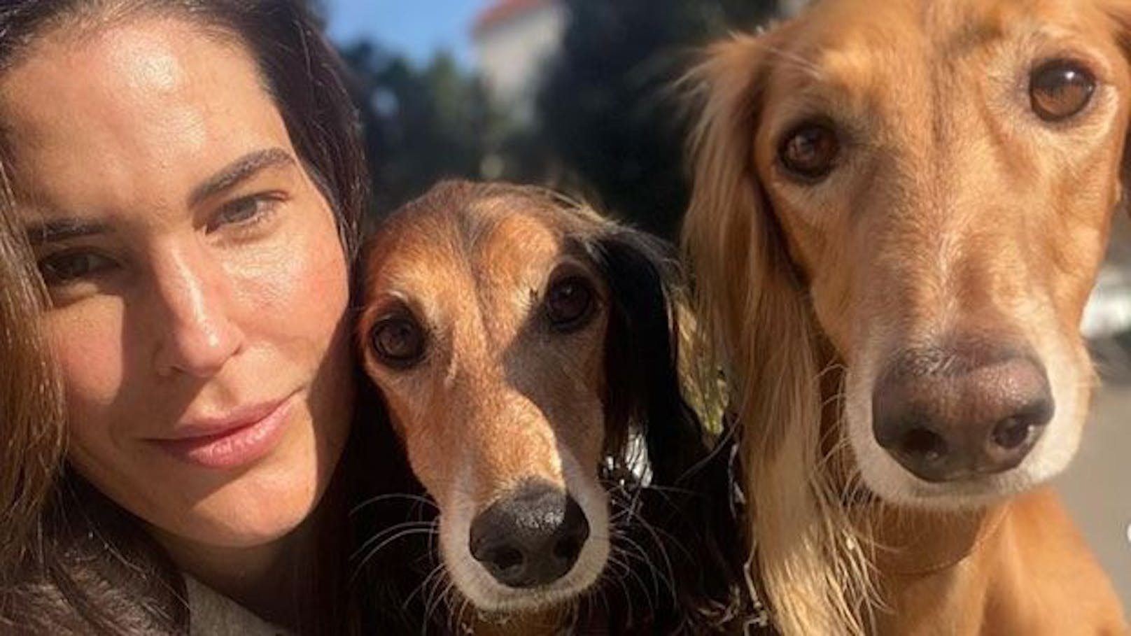 Moderatorin <strong>Elke Rock</strong> gedenkt ihrem Hund "Frederic" mit einem sehr bewegenden Instagram-Beitrag.