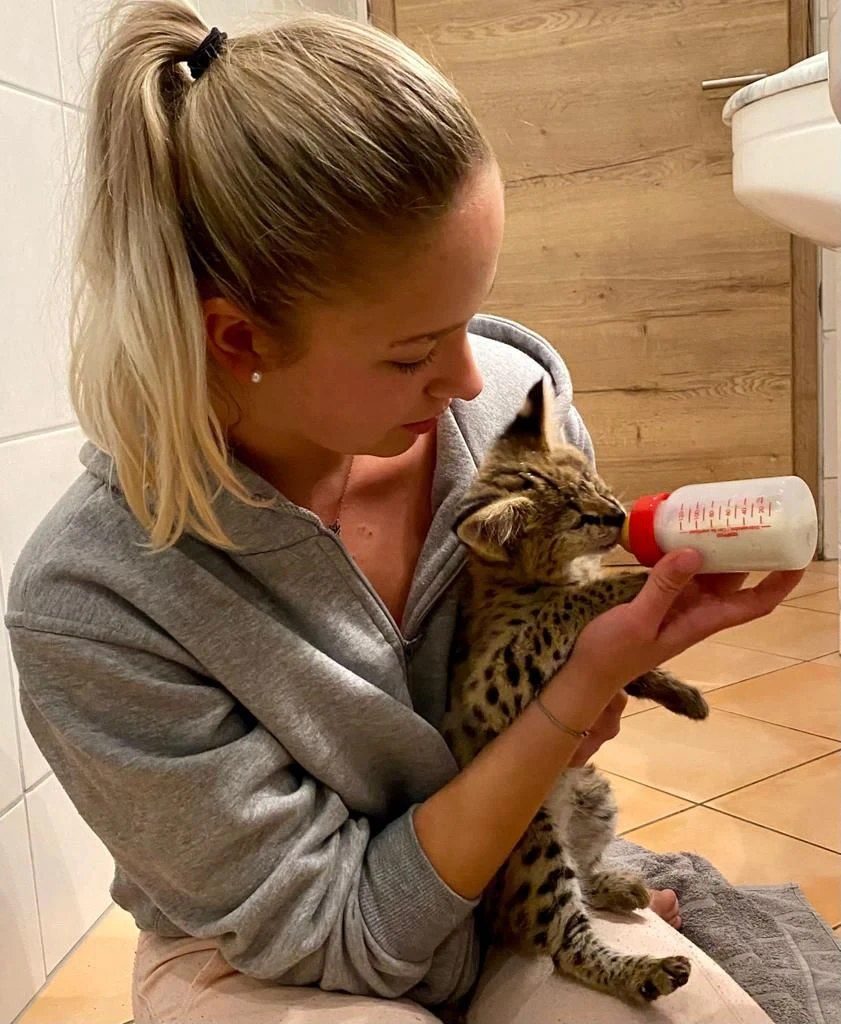 Tierpflegerin Saskia Plachy gibt der kleinen Raubkatze die Flasche.