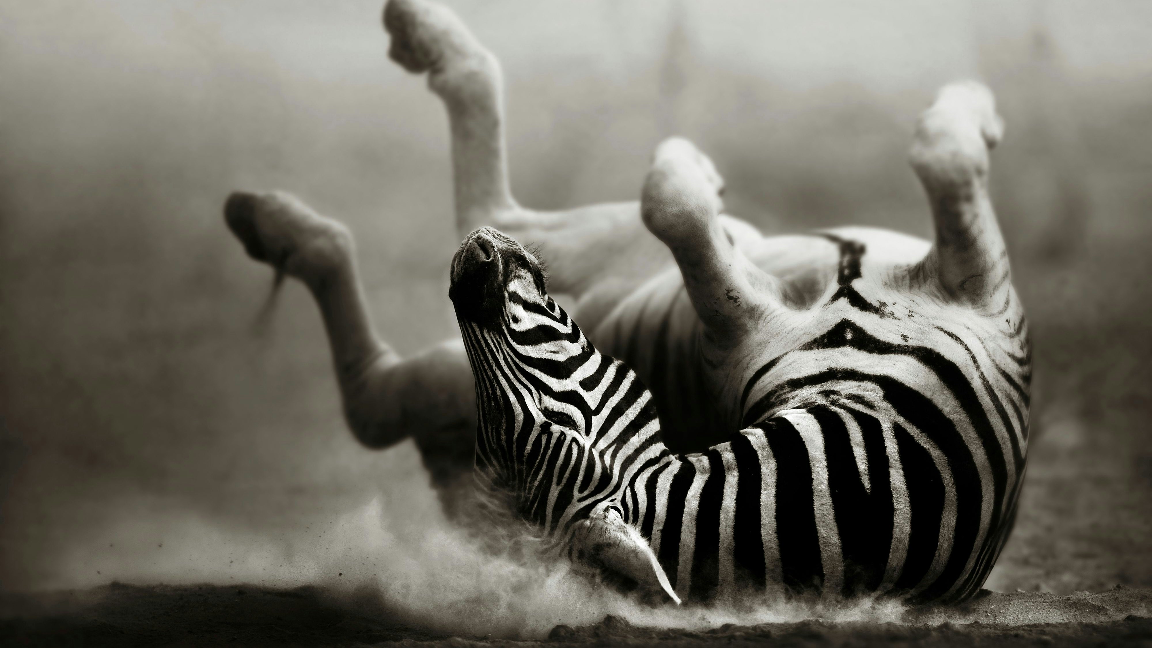 Heute.at - Afrika ohne Farbe? Diese Aufnahmen werden dich umhauen