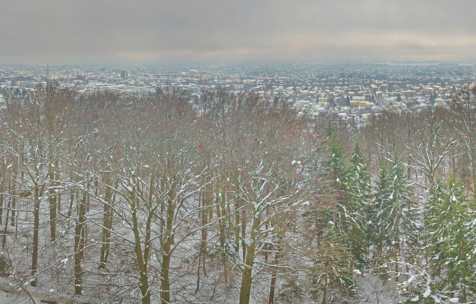 In Klagenfurt liegen derzeit 15 bis 20 cm Schnee.