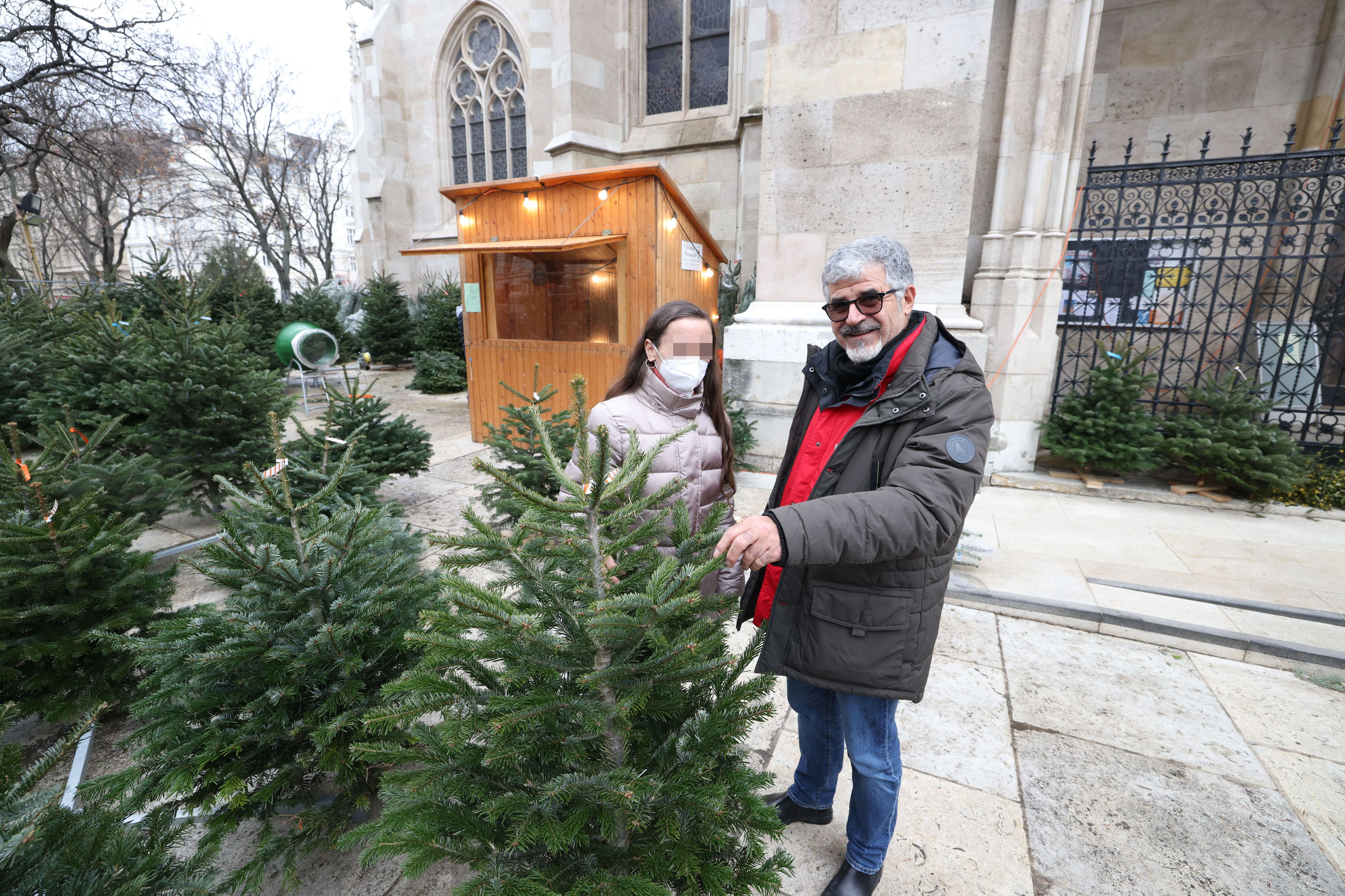 Monika bekam Christbaum bei der Wiener Votivkirche.&nbsp;