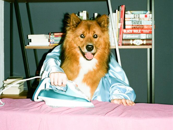 Daniel Gebhart de Koekkoek hat mit seinem Hundekalender ins Schwarze getroffen. Der Kalender für 2022 ist ein Hit! 
