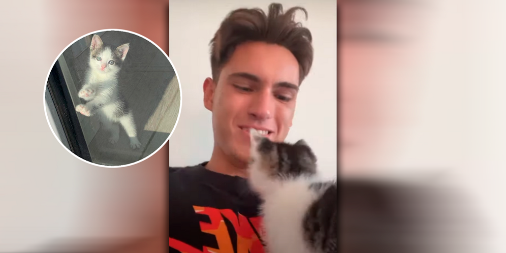 Miguel Pablo mit seinem Kätzchen.