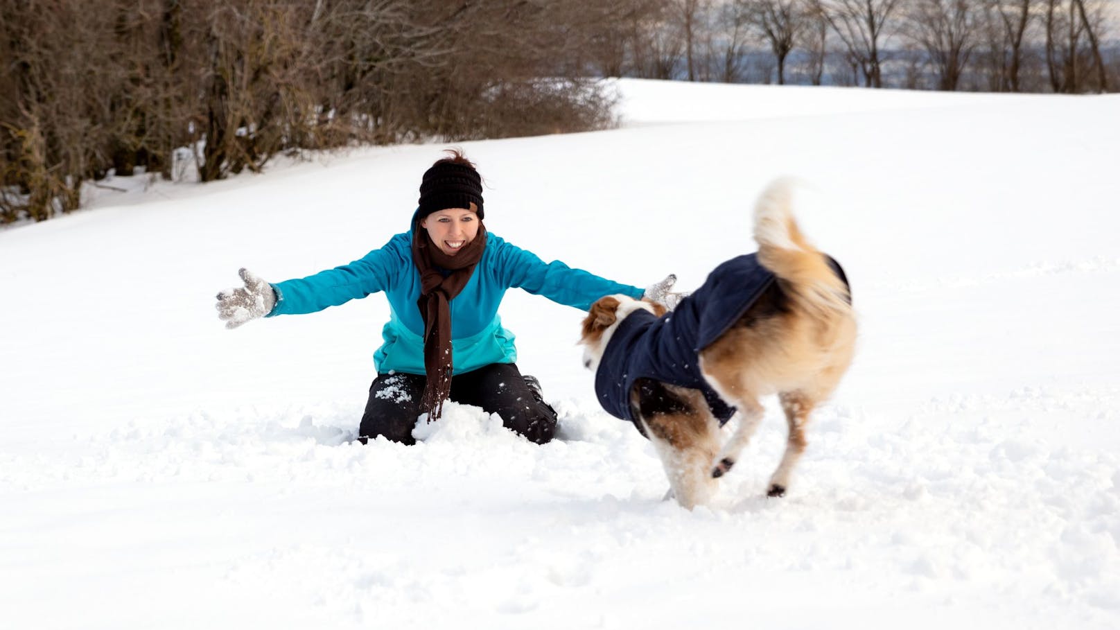 <strong>Ein besonderer Ausflug</strong>: Such dir doch eine einen spannenden Tagesausflug irgendwo in den Bergen heraus und genieße mit deinem Hund einen ganzen Tag in der Natur. 