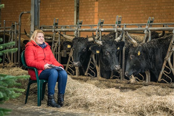 Ein Bauernhof in Niedersachsen stellte sich als Impfstraße zur Verfügung.