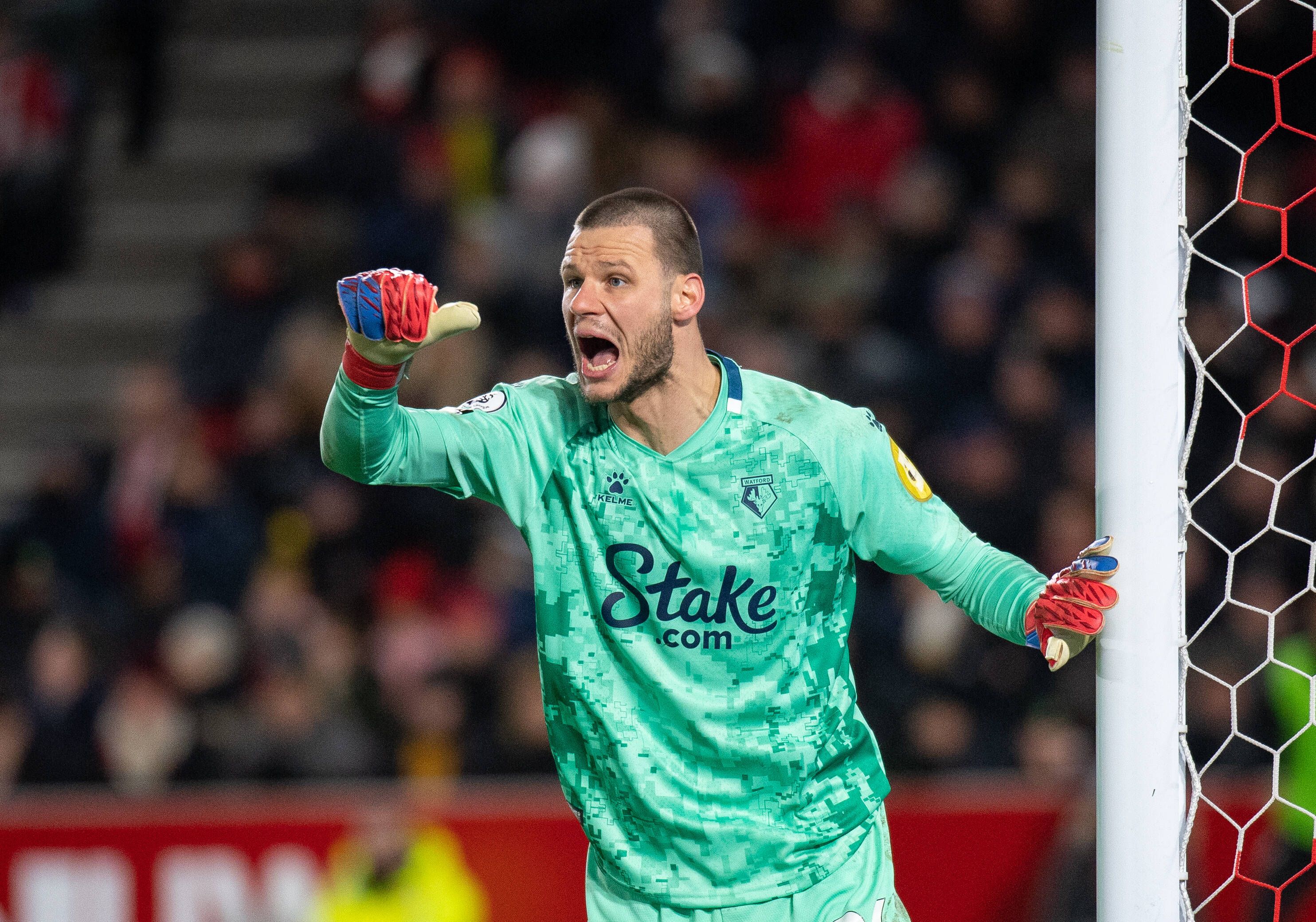 Daniel Bachmann hütet das Watford-Tor.