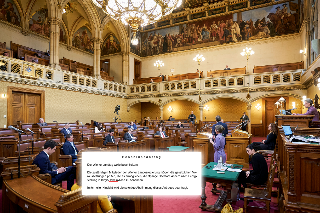 Drei eher kuriose Anträge kamen am Dienstag im Wiener Landtag zur Abstimmung (Archivbild)