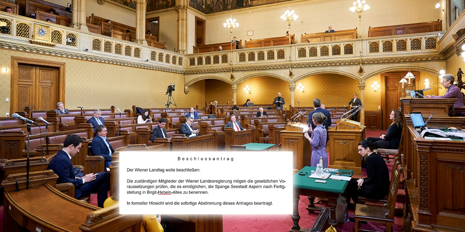 Drei eher kuriose Anträge kamen am Dienstag im Wiener Landtag zur Abstimmung (Archivbild)