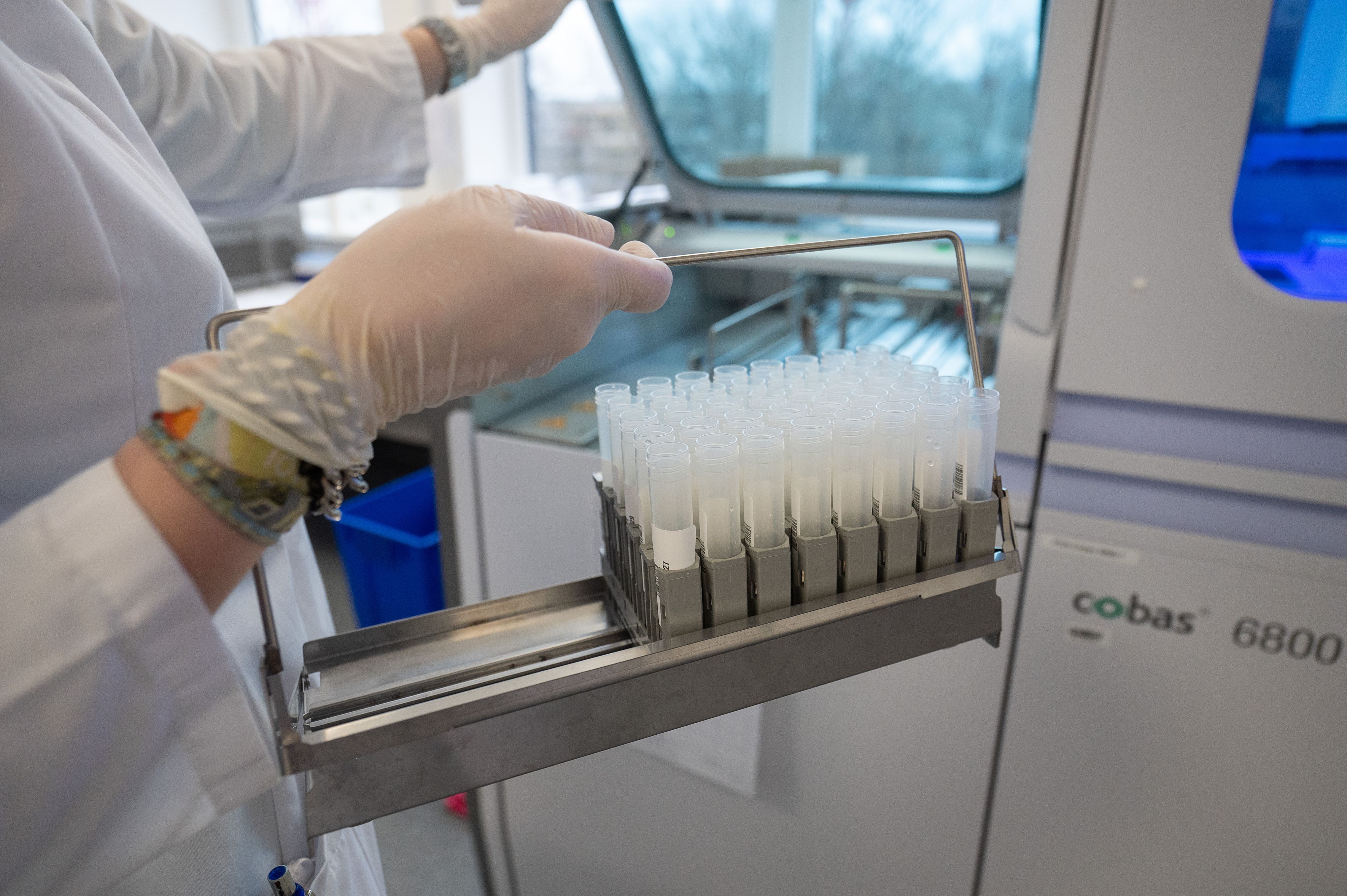 In Salzburg wurden die auf Omikron sequenzierten Proben als neue Fälle eingemeldet.