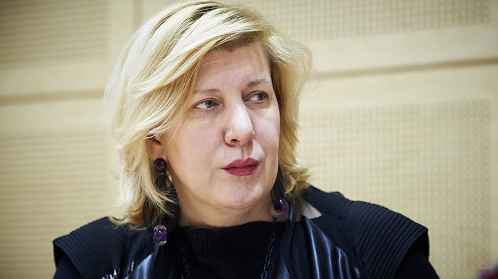 Dunja Mijatovic besuchte Österreich von 13. bis 17. Dezember.