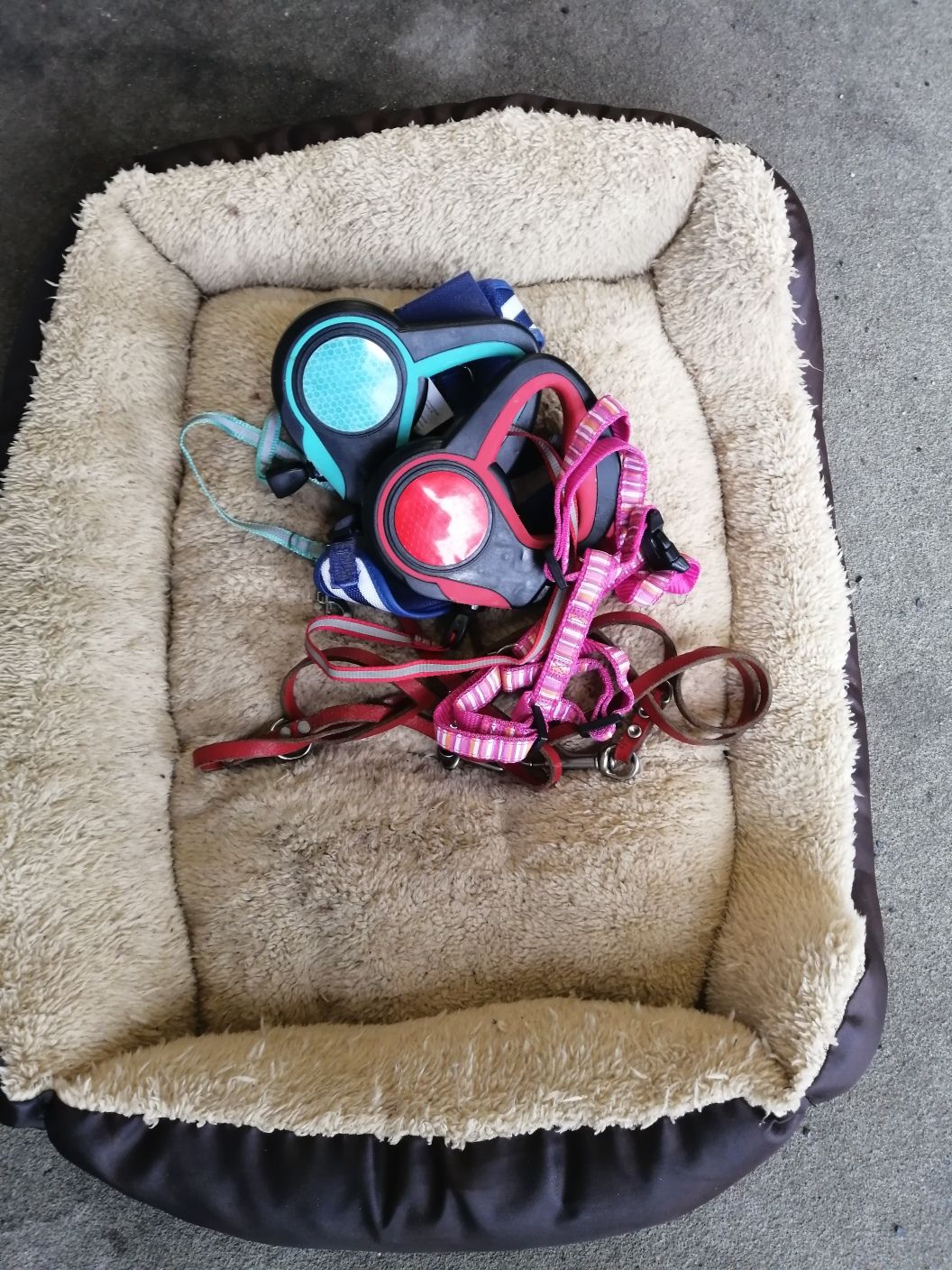 Dieses Hundebettchen war mit den Flexi-Leinen in einem Karton abgestellt worden. 