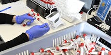 PCR-Panne in Schulen: "Es ging gar nichts mehr"