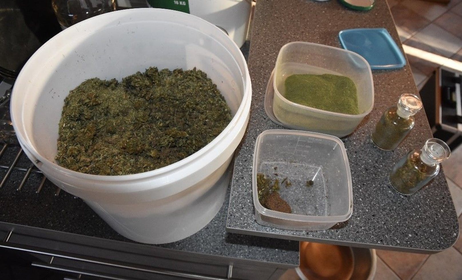 In einem Keller in Wien-Floridsdorf hat ein 50-Jähriger eine riesige Cannabisaufzuchtanlage betrieben.
