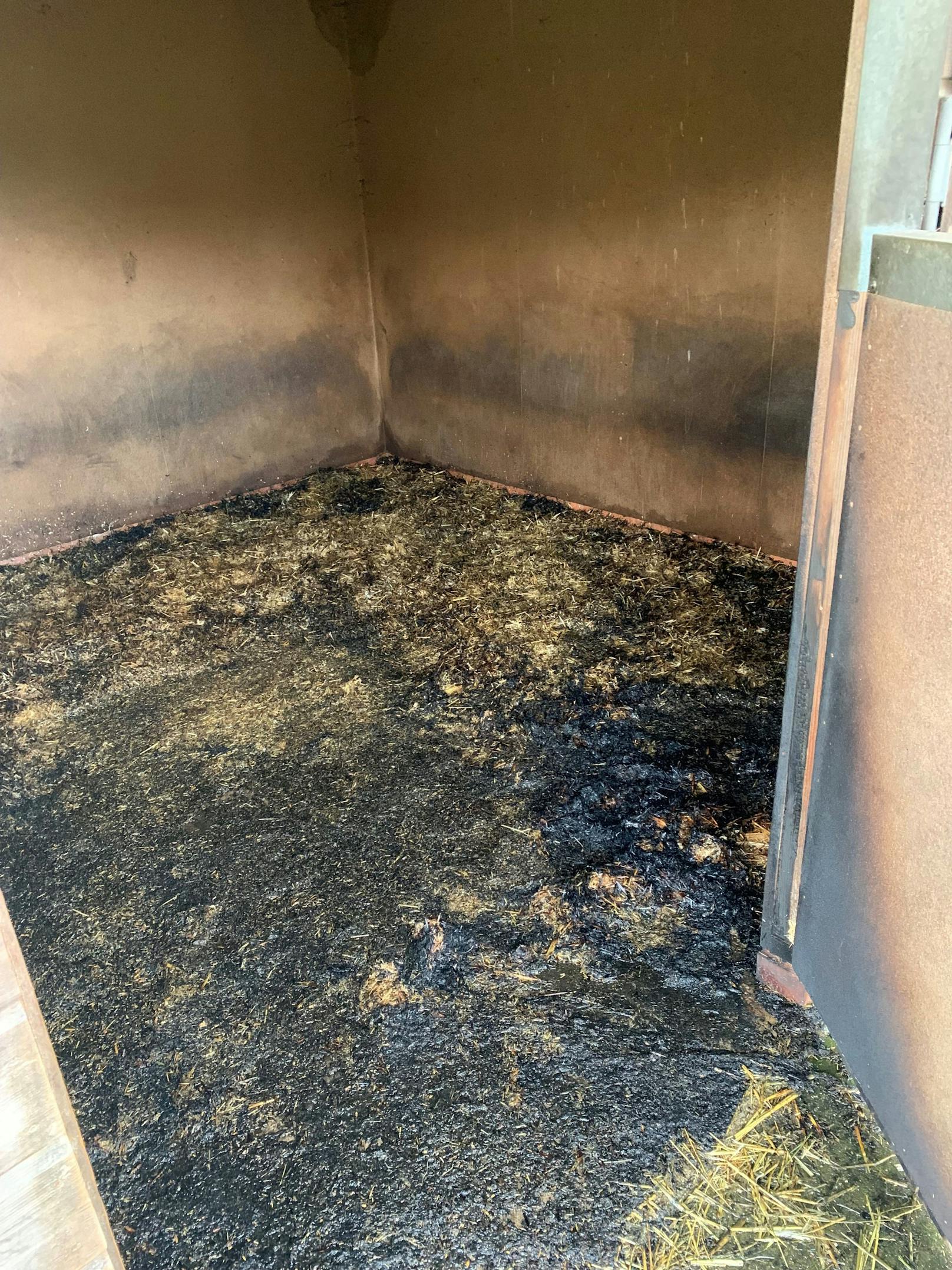 Nach einem Brandanschlag auf eine Tierschutzorganisation in Kent ist eine Ziege gestorben und eine weitere wurde schwer verletzt.