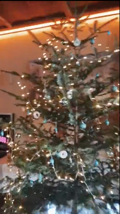 Der Christbaum von Andreas Gabalier erstrahlt in Silber und Blau.