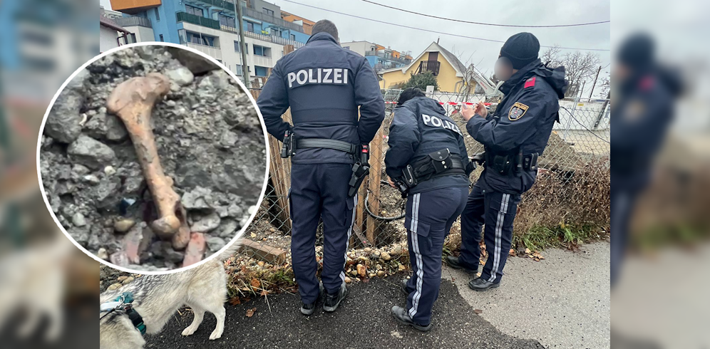 In Floridsdorf entdeckte ein Spaziergänger Knochenreste.