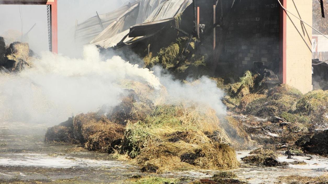 Bei dem Stallbrand kamen mehrere Tiere ums Leben.