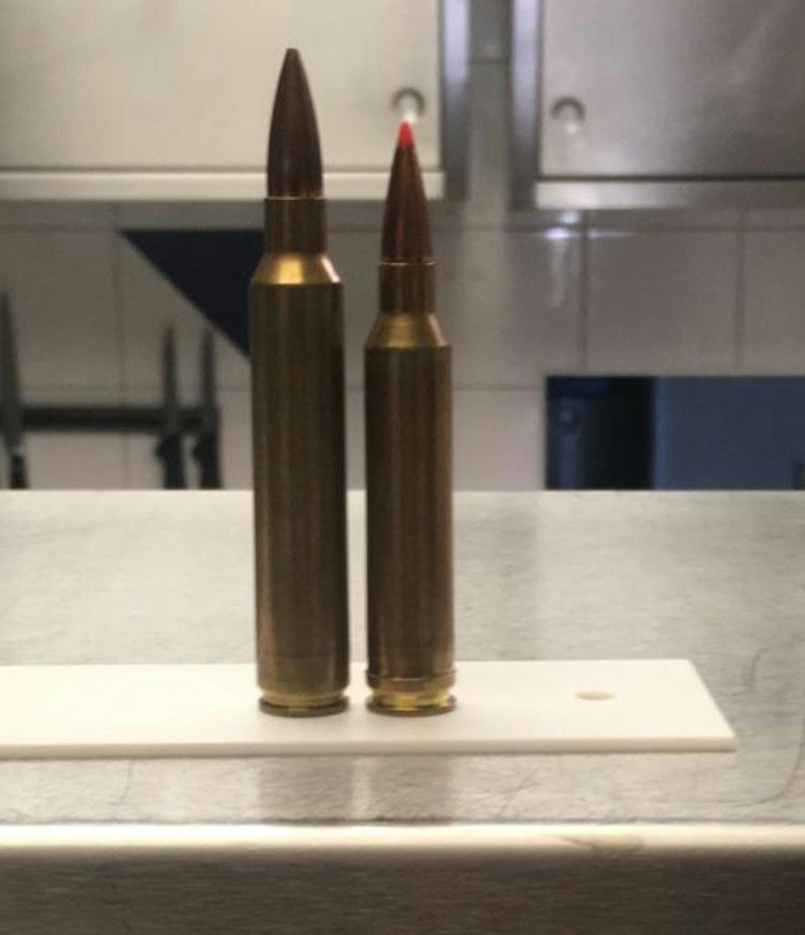 Die Remington 700 samt Munition wurde am 26. Dezember in Hart im Zillertal, Tirol, gestohlen.
