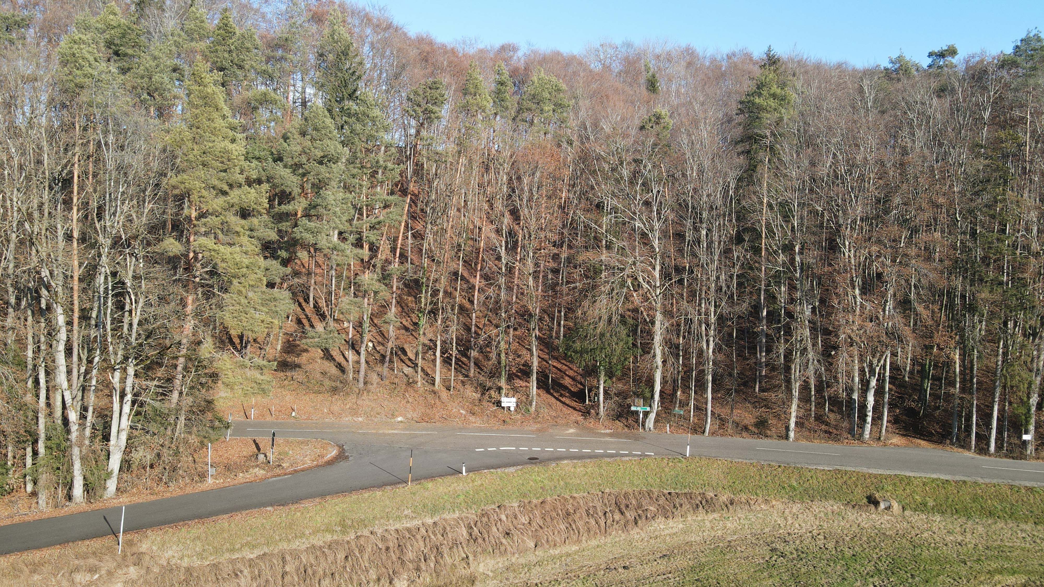 Der Böllerunfall ereignete sich am Sonntag im Innviertel.