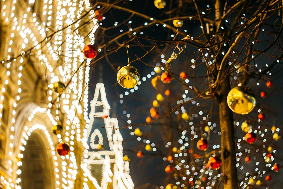 In Lörrach musste die Polizei am 25. Dezember wegen einer grellen Weihnachtsbeleuchtung ausrücken, die einem Anwohner den Schlaf raubte. Auf Betreiben der Polizei konnte diese dann abgeschaltet werden.