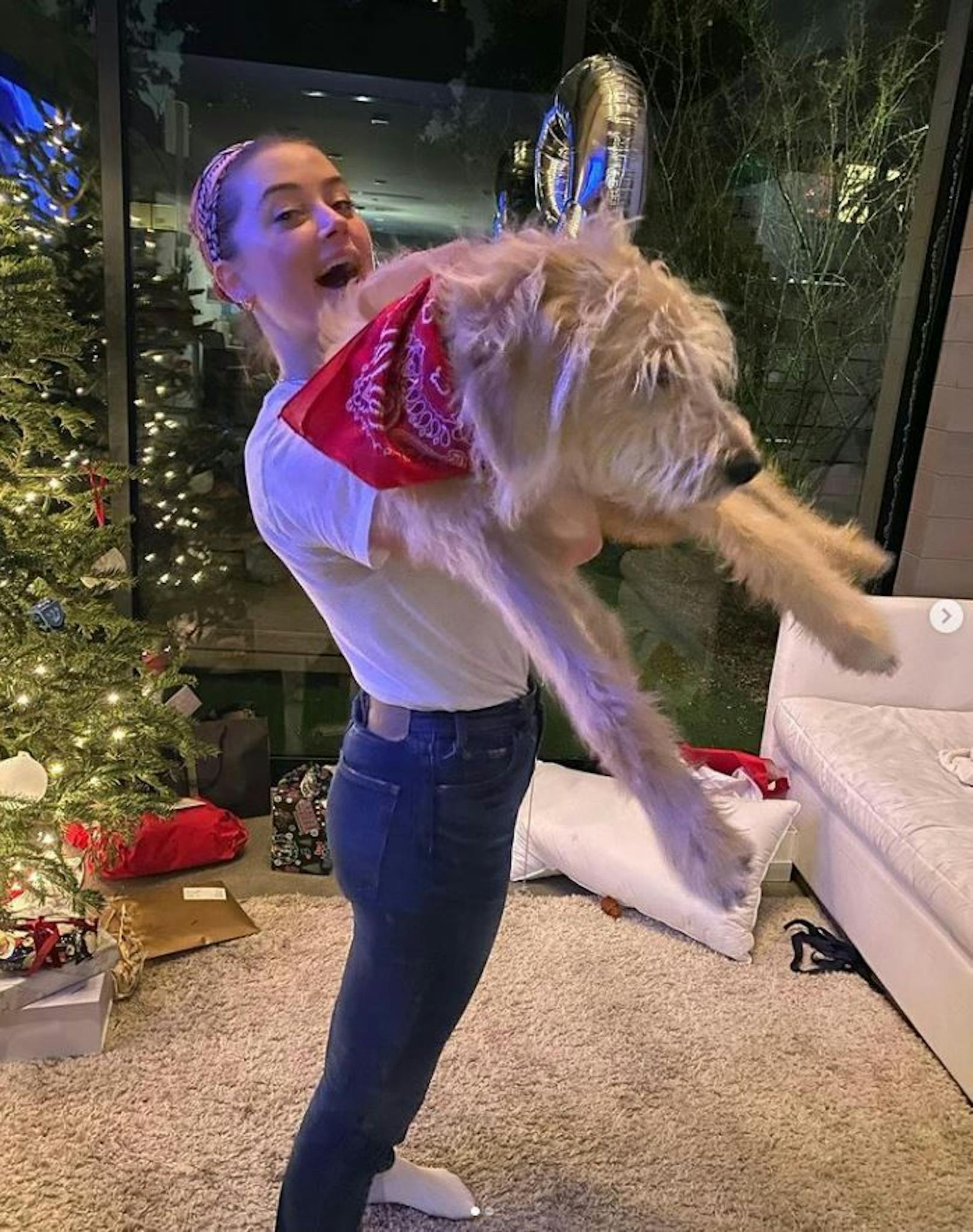 Hollywoodstar Amber Heard blödelt mit ihrem Hund rum.