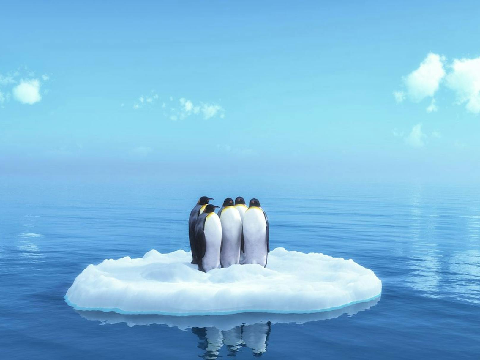 Pinguine auf einer Eisscholle im antarktischen Meer.