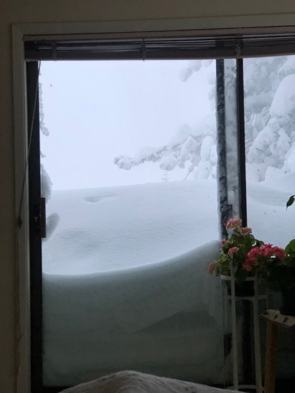 In den USA wurde ein Neuschnee-Rekord aufgestellt.