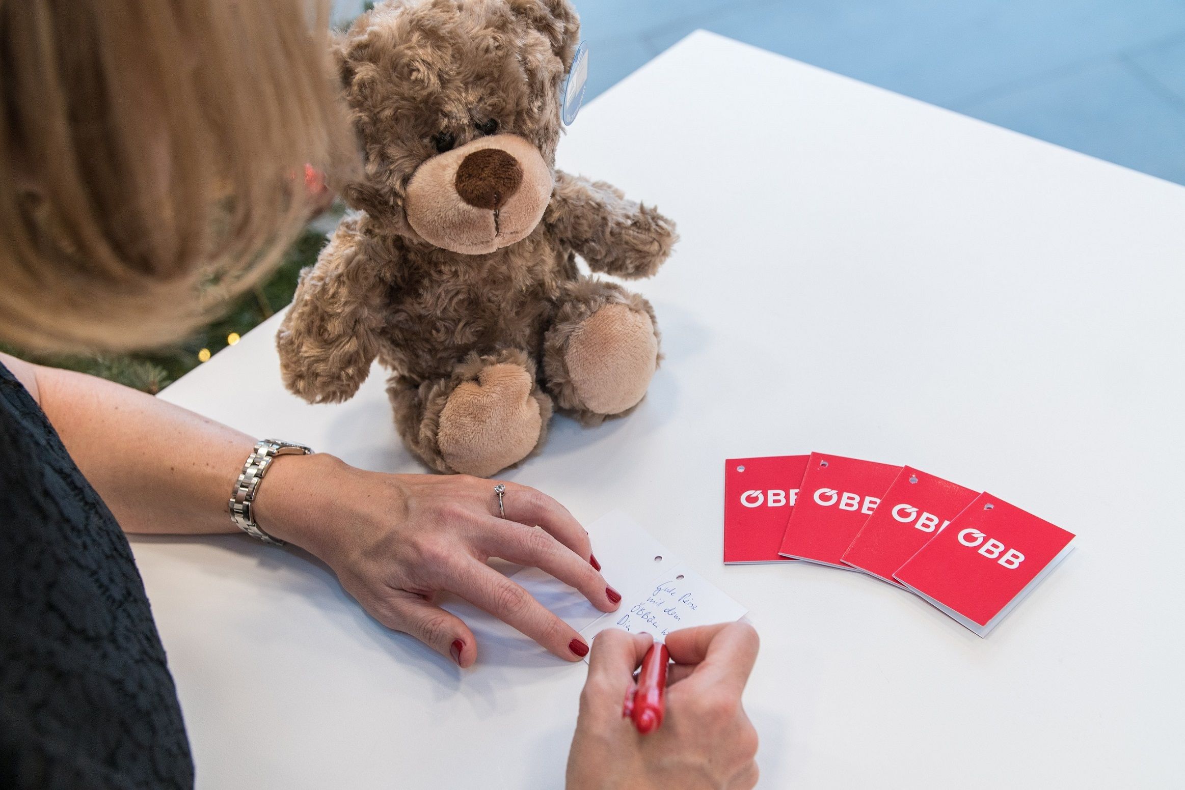 Die Verlustmeldung ist bei den ÖBB seit diesem Jahr auch digital möglich.