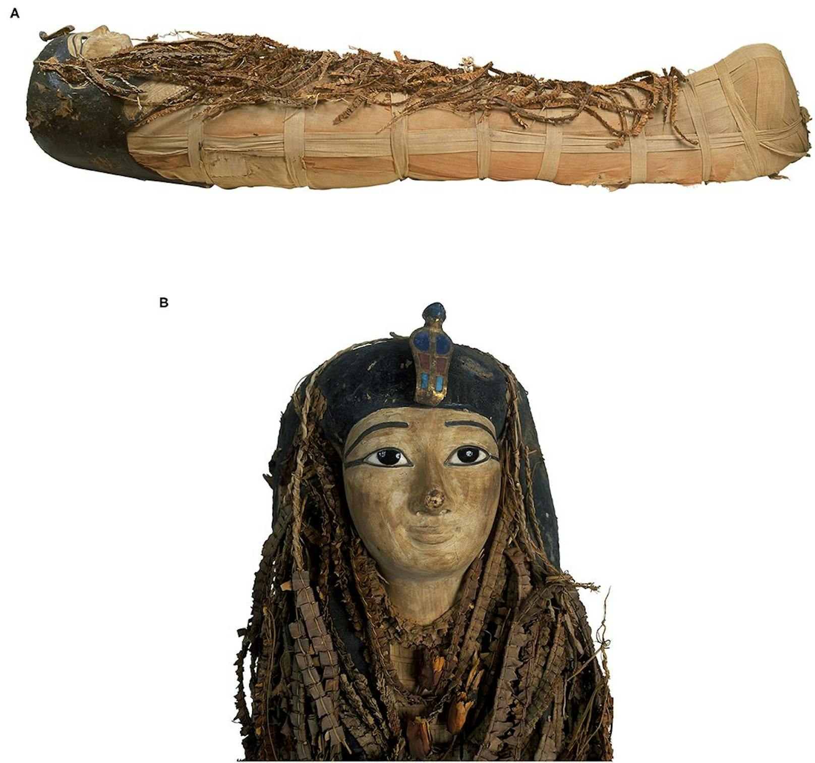 Bild der Mumie des Amenhotep I. <strong>(A)</strong> Das Bild der rechten Seitenansicht der Mumie des Amenhotep I zeigt den Körper vollständig in Leinen gehüllt, von Kopf bis Fuß mit Blumengirlanden bedeckt und trägt eine Kopfmaske. <strong>(B)</strong> Bild der Kopfmaske der Mumie von Amenhotep I aus bemaltem Holz und Karton. Das Gesicht ist in schwachem Gelb bemalt. Die Kontur der Augen und Augenbrauen ist schwarz lackiert. In die Augen sind schwarze Pupillen aus Obsidiankristallen eingelegt. Auf der Stirn befindet sich eine separat geschnitzte bemalte Kobra aus bemaltem Holz, eingelegten Steinen und Kartonage. Der Rest der Kopfmaske wird teilweise von Blumengirlanden verdeckt.