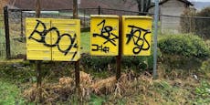 Graffiti-Sprayer zog Spur der Verwüstung durch Mainburg