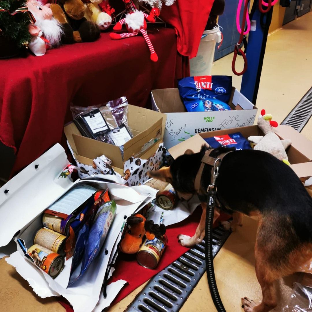 Das Christkind war bei Jimmy.